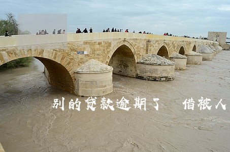 别的贷款逾期了 借被人借吗 别的贷款逾期了 借被人借吗